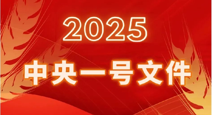 一圖讀懂2025年中央一號文件《中共中央 國務院關于進一步深化農(nóng)村改革扎實推進鄉(xiāng)村全面振興的意見》